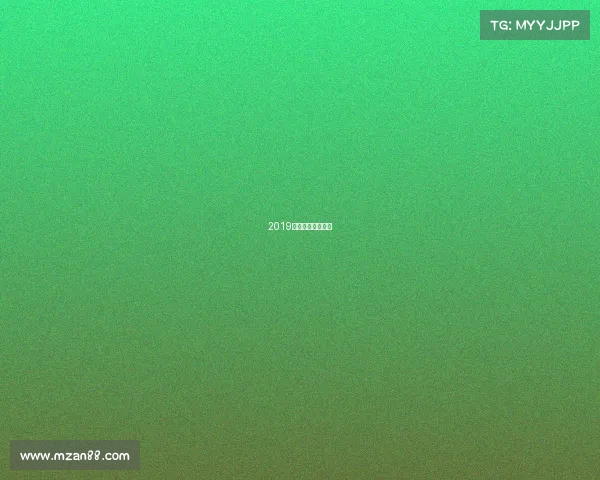 2019赛季广东夺冠阵容