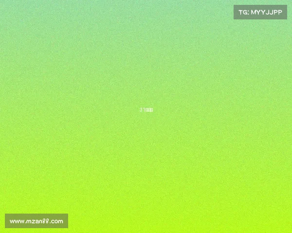 31日赛事 31日赛事