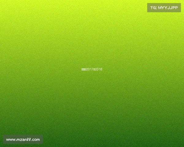 广东队2017到2018